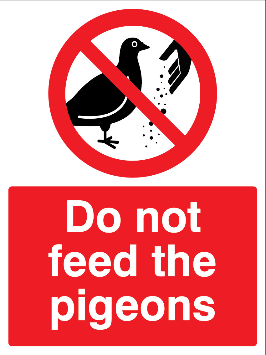 Do Not Feed the Pigeons