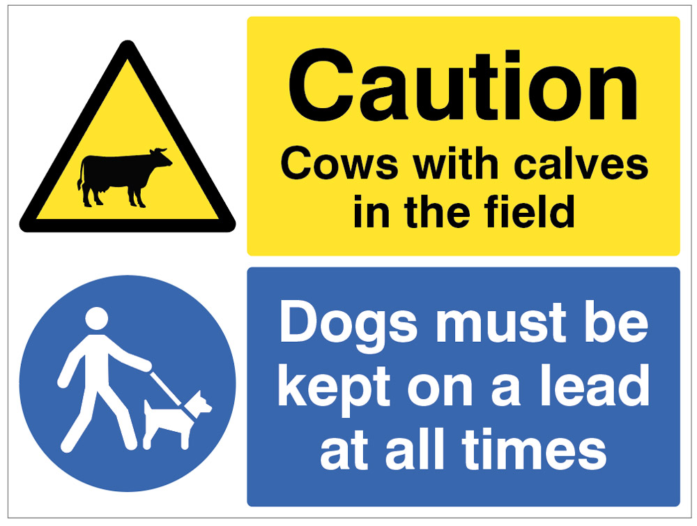 Warning: Cows with Calves in Field - Dogs Must Be Kept on a Lead (R/P 600x450mm)