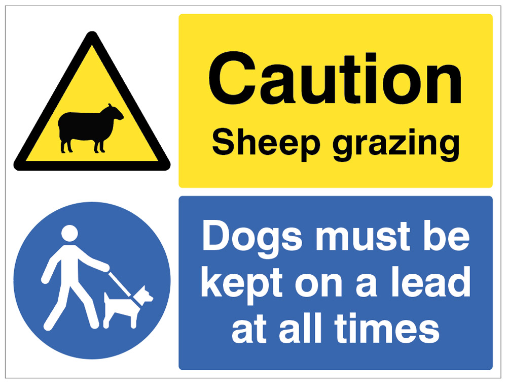 Warning: Sheep Grazing - Dogs Must Be Kept on a Lead (R/P 600x450mm)