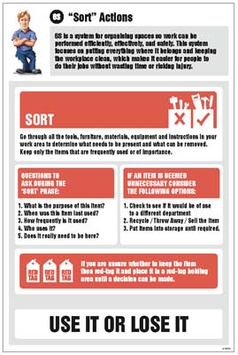 6S Sort Actions Information Poster 400x600mm R/P
