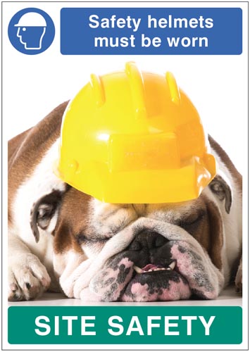 Safety Helmets Must Be Worn - Dog Poster 420x594mm Synthetic Paper