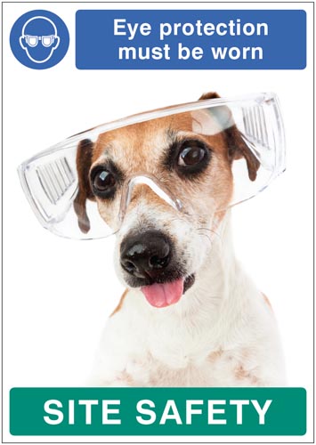 Eye Protection Required - Dog Safety Poster 420x594mm Synthetic Paper
