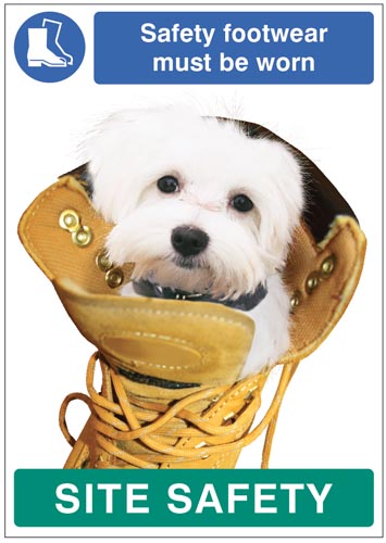 Safety Footwear Must Be Worn - Dog Poster (420x594mm, Synthetic Paper)