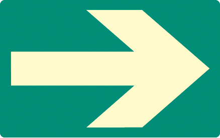 Photoluminescent Wayfinding Floor Marker 175x110mm