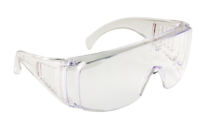 Portwest Visitor Safety Spectacles